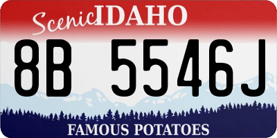 ID license plate 8B5546J