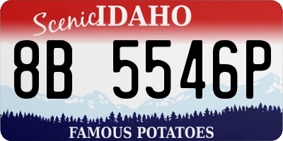 ID license plate 8B5546P