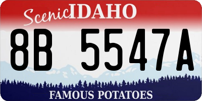 ID license plate 8B5547A