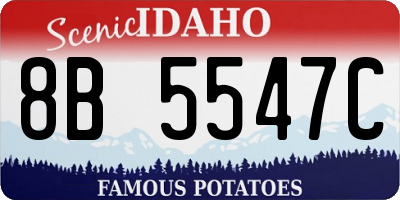 ID license plate 8B5547C
