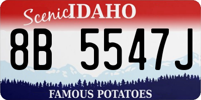 ID license plate 8B5547J