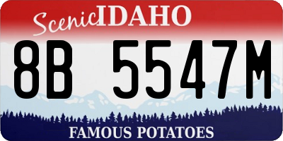 ID license plate 8B5547M