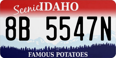 ID license plate 8B5547N