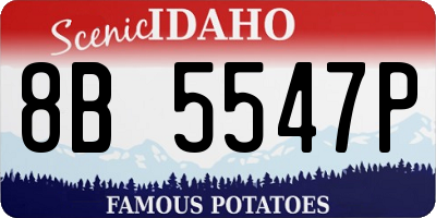 ID license plate 8B5547P