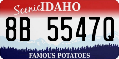 ID license plate 8B5547Q