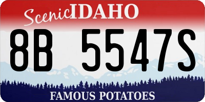 ID license plate 8B5547S