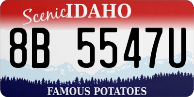ID license plate 8B5547U