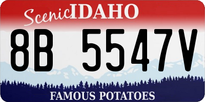 ID license plate 8B5547V