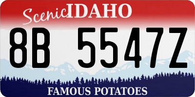ID license plate 8B5547Z