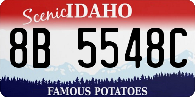 ID license plate 8B5548C