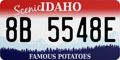 ID license plate 8B5548E