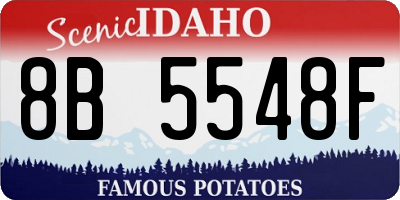ID license plate 8B5548F