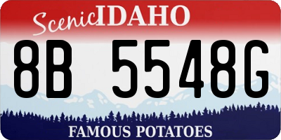 ID license plate 8B5548G