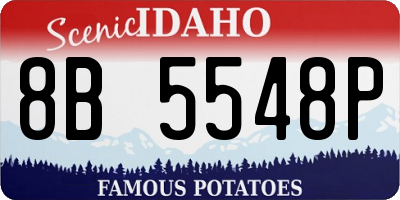 ID license plate 8B5548P
