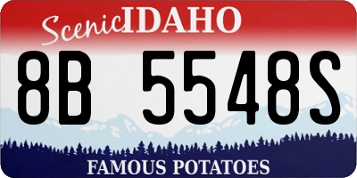 ID license plate 8B5548S