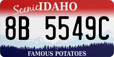 ID license plate 8B5549C