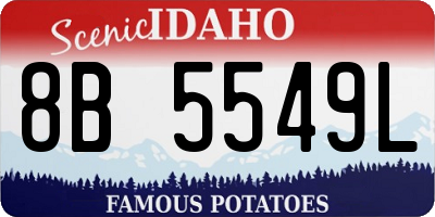 ID license plate 8B5549L
