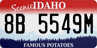 ID license plate 8B5549M