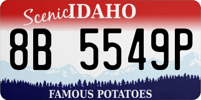 ID license plate 8B5549P