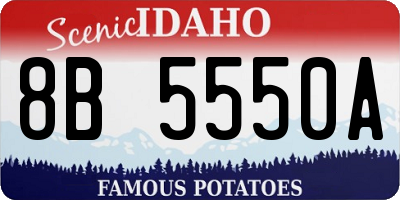 ID license plate 8B5550A