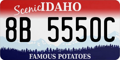 ID license plate 8B5550C