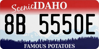 ID license plate 8B5550E
