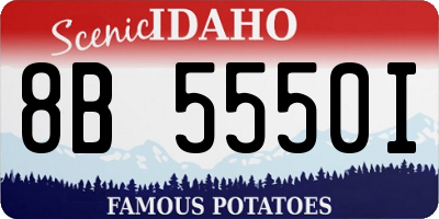ID license plate 8B5550I