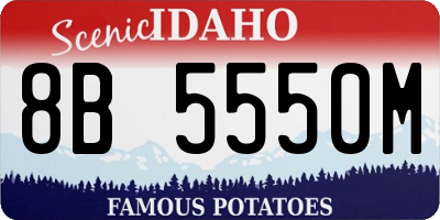 ID license plate 8B5550M