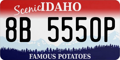 ID license plate 8B5550P