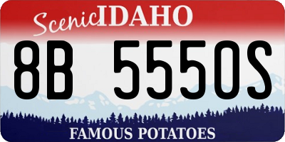 ID license plate 8B5550S