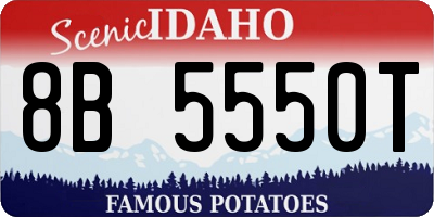 ID license plate 8B5550T