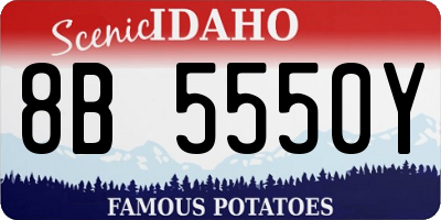 ID license plate 8B5550Y