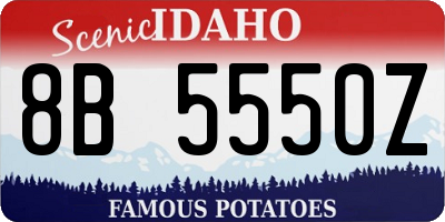 ID license plate 8B5550Z