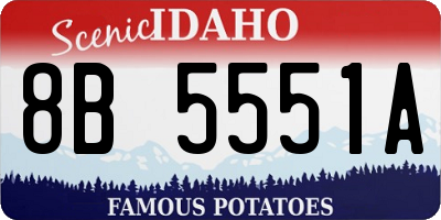 ID license plate 8B5551A