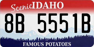 ID license plate 8B5551B