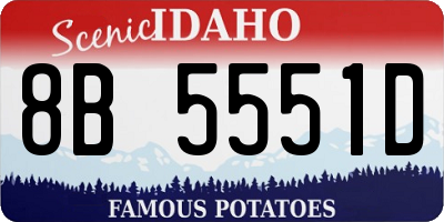 ID license plate 8B5551D