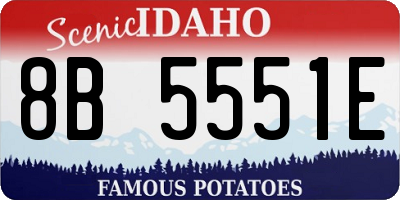 ID license plate 8B5551E
