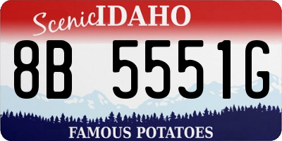 ID license plate 8B5551G