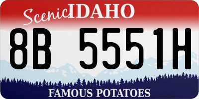 ID license plate 8B5551H