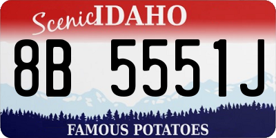 ID license plate 8B5551J