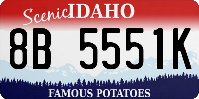 ID license plate 8B5551K