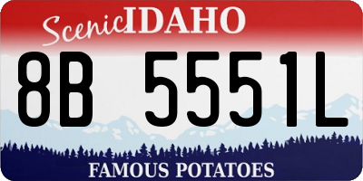 ID license plate 8B5551L