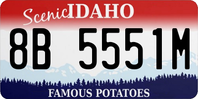 ID license plate 8B5551M