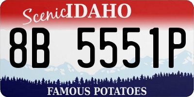 ID license plate 8B5551P
