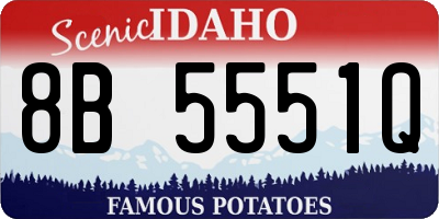 ID license plate 8B5551Q