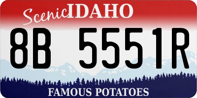 ID license plate 8B5551R