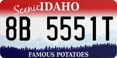 ID license plate 8B5551T