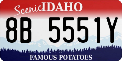 ID license plate 8B5551Y
