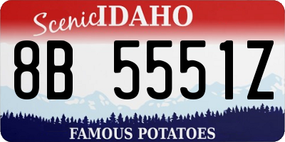 ID license plate 8B5551Z