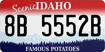 ID license plate 8B5552B